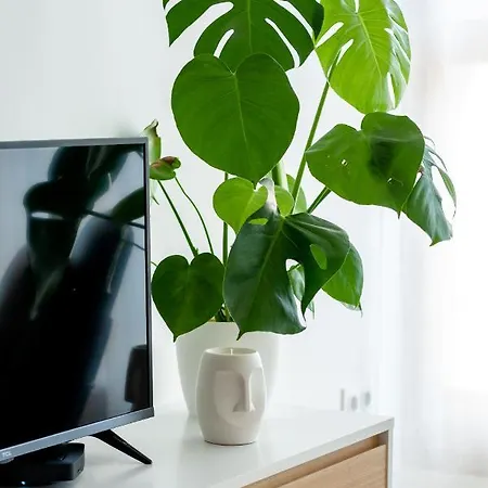 Apartment Mountain *