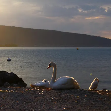 Mountain 아파트 *